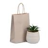 Stone Premium Italian Paper Carrier Bags with Twisted Handles